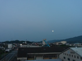 IMG_2093.jpeg
