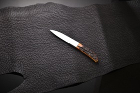 image-54b23.jpeg